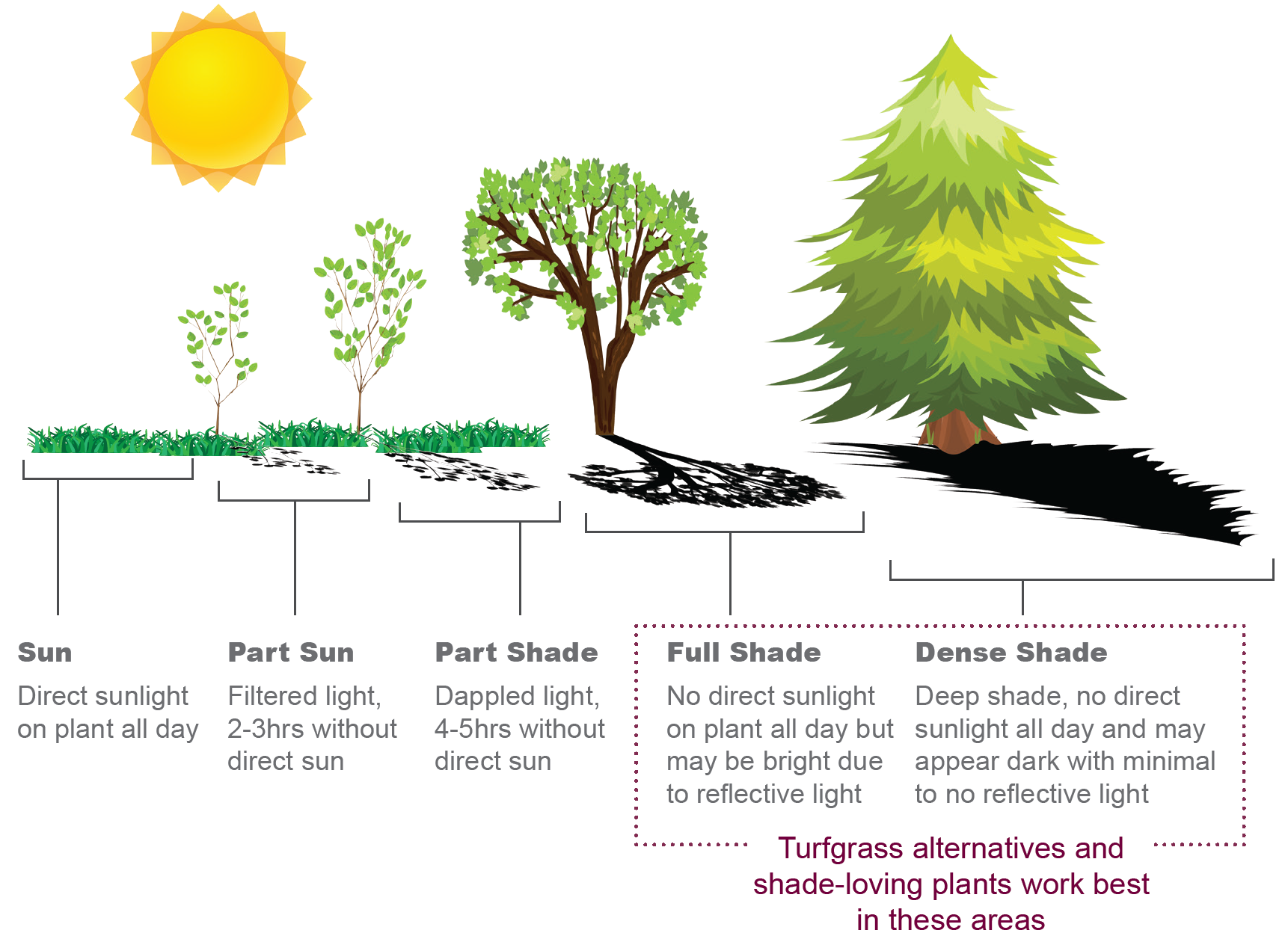 SUSTAINABLE GARDEN “Know Your Sun” TSKTECH.IN