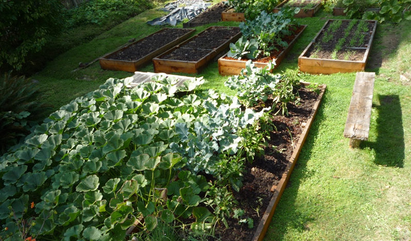 Sustainable Gardening